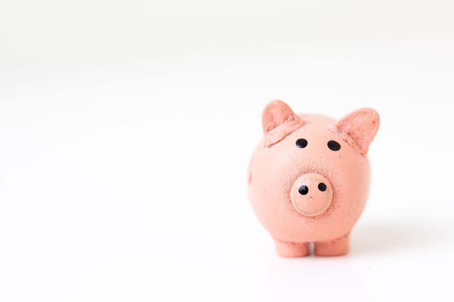 Piggy bank: developers and wages