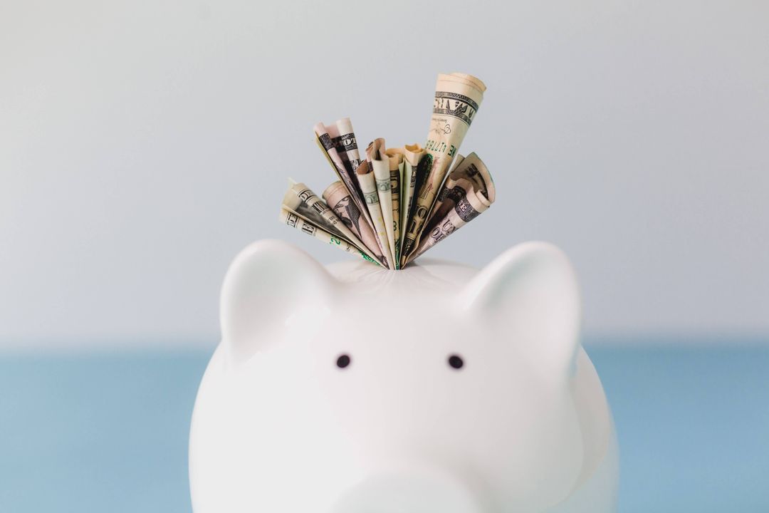 piggy bank